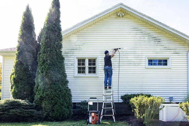 Best House Exterior Washing  in Friars Point, MS